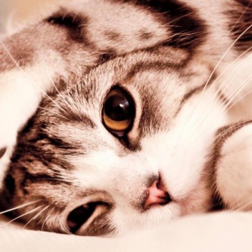 สมาชิกหมายเลข 6674701