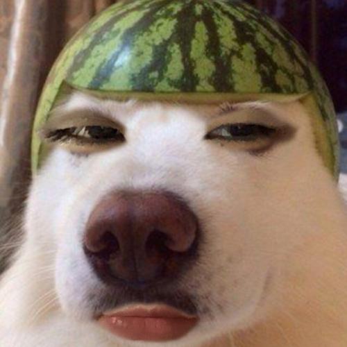 สมาชิกหมายเลข 6674923