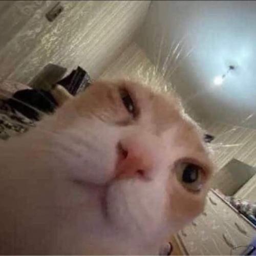 สมาชิกหมายเลข 4107127