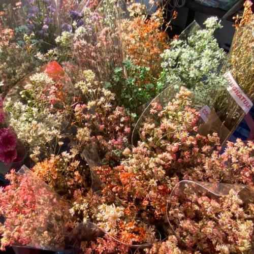 สมาชิกหมายเลข 7785763