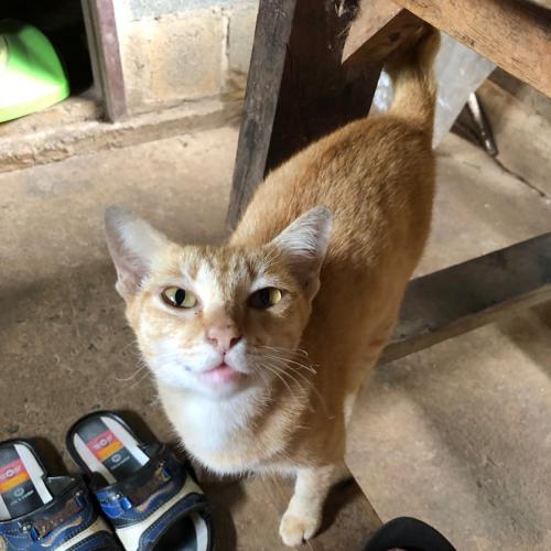 สมาชิกหมายเลข 8304339