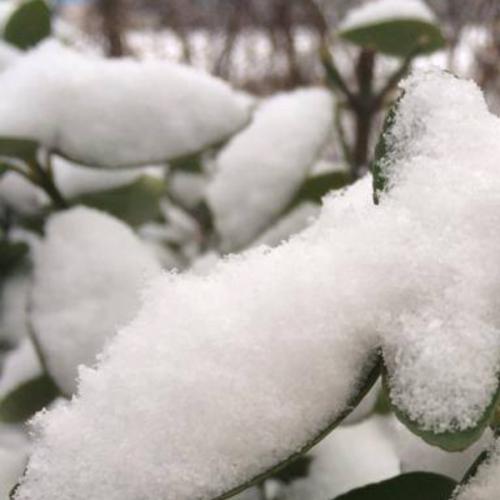 สมาชิกหมายเลข 8317220