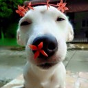 สมาชิกหมายเลข 3912705