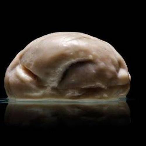 สมาชิกหมายเลข 3431054