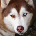 สมาชิกหมายเลข 4378715