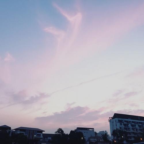 สมาชิกหมายเลข 1152860