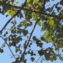 สมาชิกหมายเลข 3731849