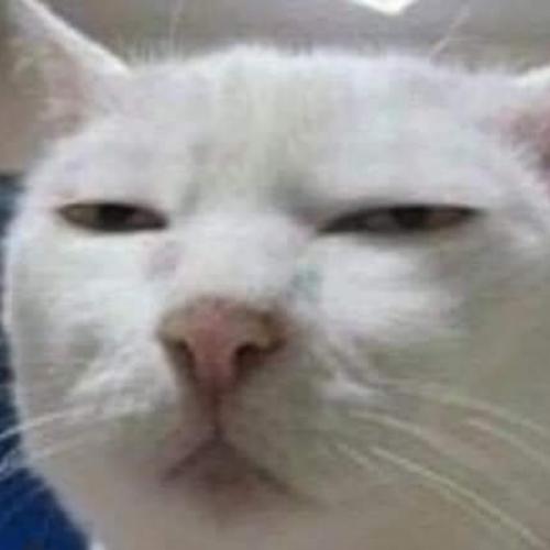 สมาชิกหมายเลข 4836535