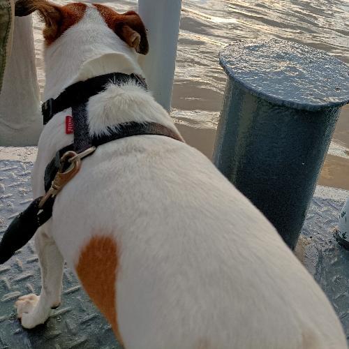 สมาชิกหมายเลข 6033828