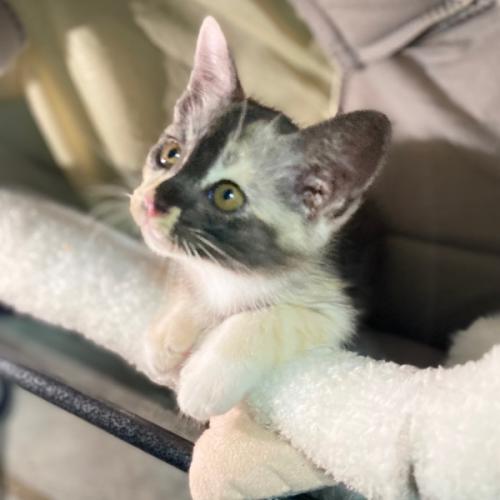 สมาชิกหมายเลข 7744996