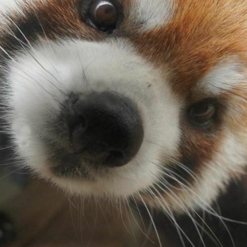 สมาชิกหมายเลข 8318304