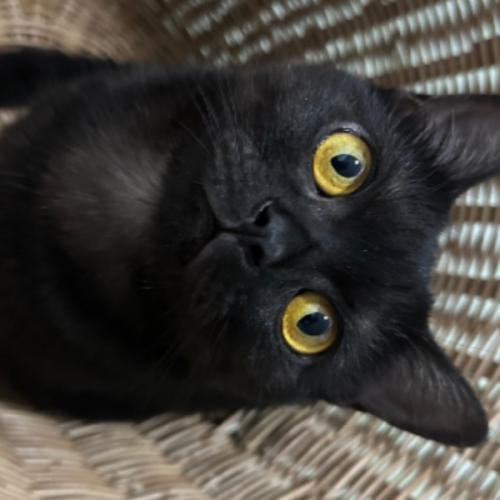 สมาชิกหมายเลข 8318413