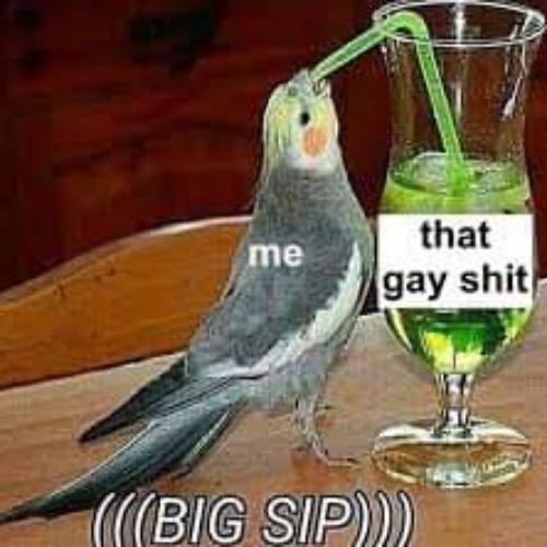 สมาชิกหมายเลข 5158935