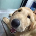 สมาชิกหมายเลข 5511528