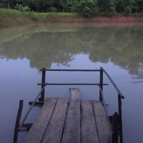 สมาชิกหมายเลข 4761954