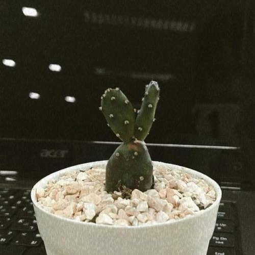 สมาชิกหมายเลข 5643817