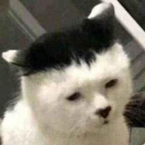 สมาชิกหมายเลข 6058623