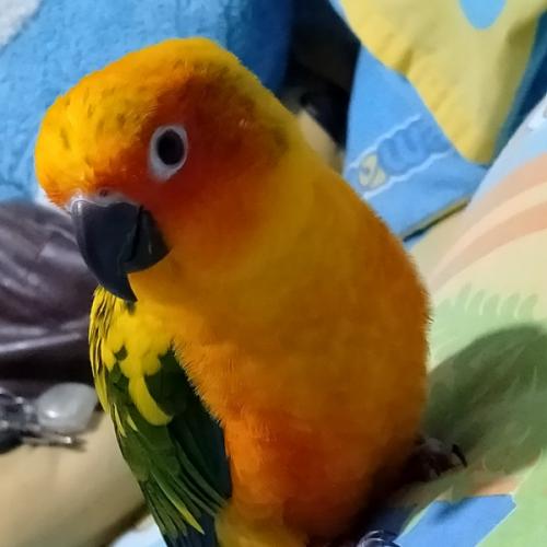 สมาชิกหมายเลข 6058653