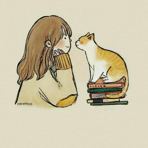 สมาชิกหมายเลข 6058799