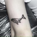 สมาชิกหมายเลข 3914340