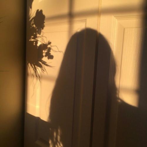 สมาชิกหมายเลข 2376537