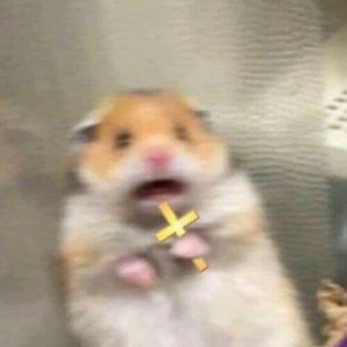 สมาชิกหมายเลข 5105544