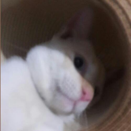 สมาชิกหมายเลข 5119071