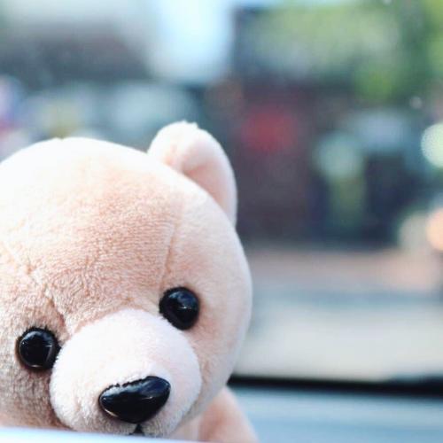 สมาชิกหมายเลข 5119135