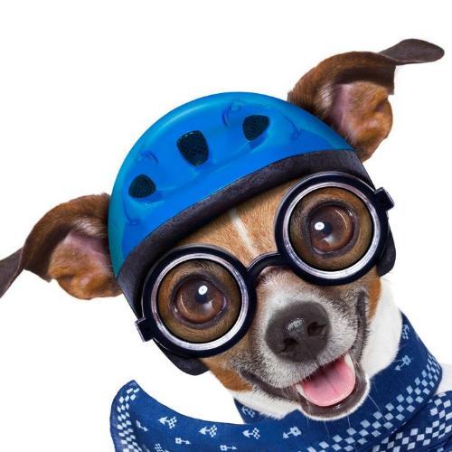 สมาชิกหมายเลข 5119222