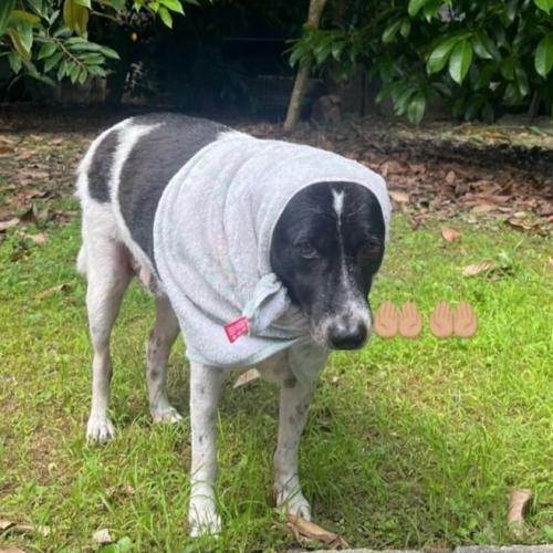 สมาชิกหมายเลข 7426951