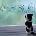 สมาชิกหมายเลข 4385054