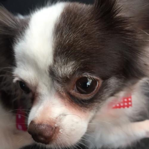 สมาชิกหมายเลข 3365205