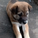 สมาชิกหมายเลข 5511482