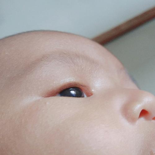 สมาชิกหมายเลข 5233922