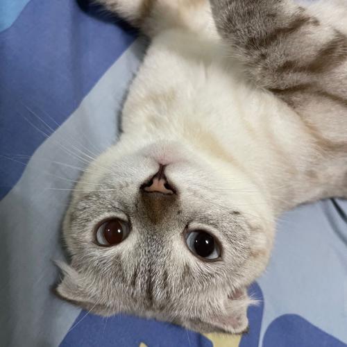 สมาชิกหมายเลข 6677200