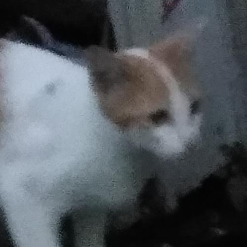 สมาชิกหมายเลข 6677278