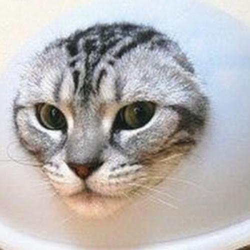 สมาชิกหมายเลข 7253390