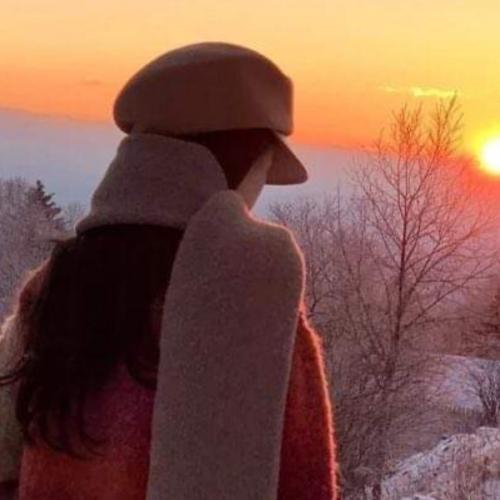 สมาชิกหมายเลข 7316941