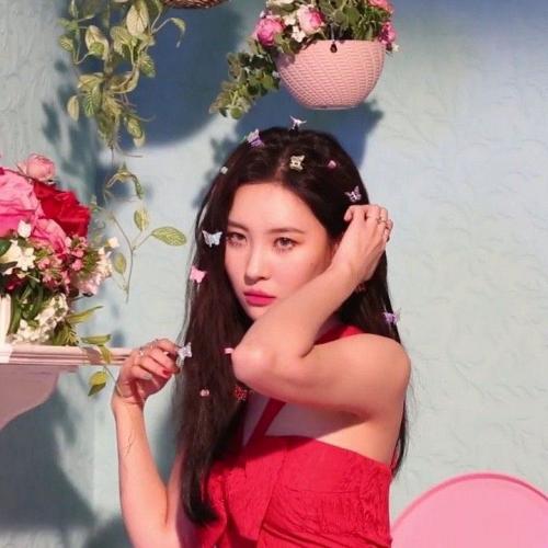 สมาชิกหมายเลข 7427654