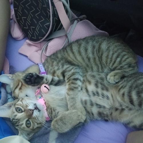 สมาชิกหมายเลข 5558994