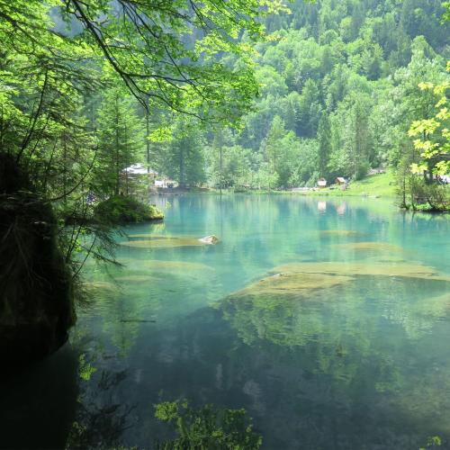 สมาชิกหมายเลข 1699629