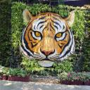 สมาชิกหมายเลข 3914938