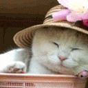 สมาชิกหมายเลข 4745634