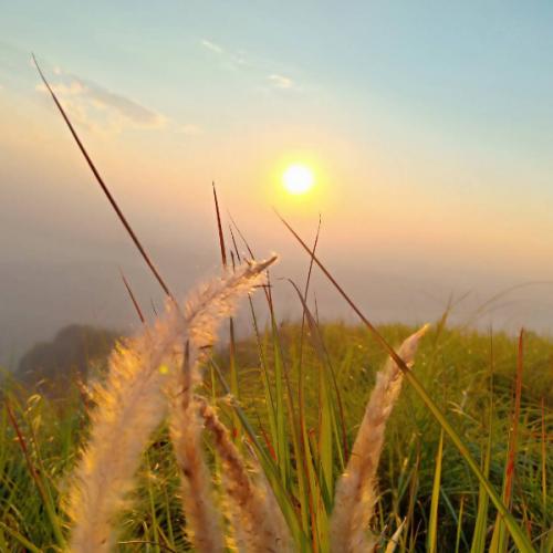 สมาชิกหมายเลข 5119034