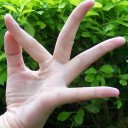 สมาชิกหมายเลข 828177