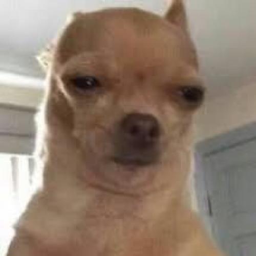 สมาชิกหมายเลข 2568589