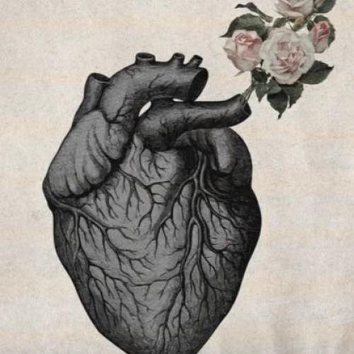 สมาชิกหมายเลข 4994787