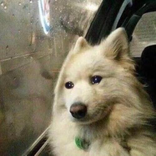 สมาชิกหมายเลข 6020032