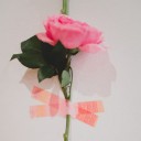 สมาชิกหมายเลข 3915054