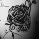 สมาชิกหมายเลข 2253038